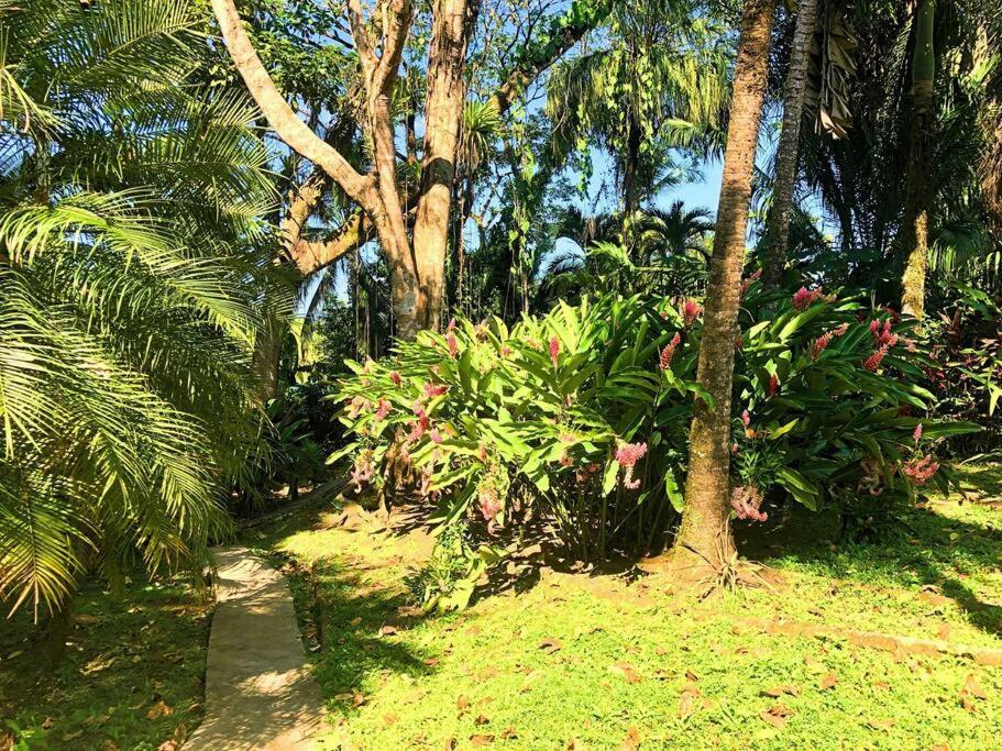 Villa Del Idaan Bocas del Toro Exteriér fotografie