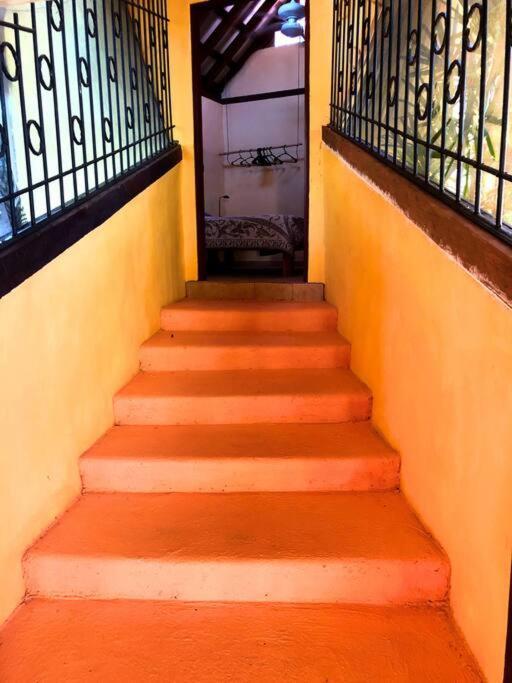 Villa Del Idaan Bocas del Toro Exteriér fotografie