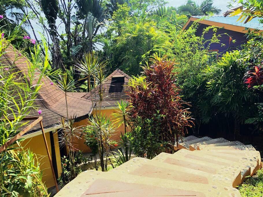 Villa Del Idaan Bocas del Toro Exteriér fotografie
