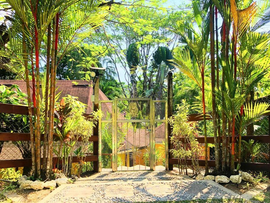 Villa Del Idaan Bocas del Toro Exteriér fotografie